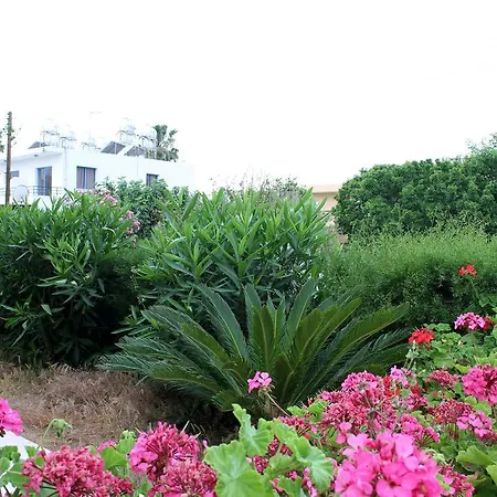 Constantia Gardens Lejlighed Paphos
